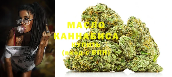 тгк Няндома