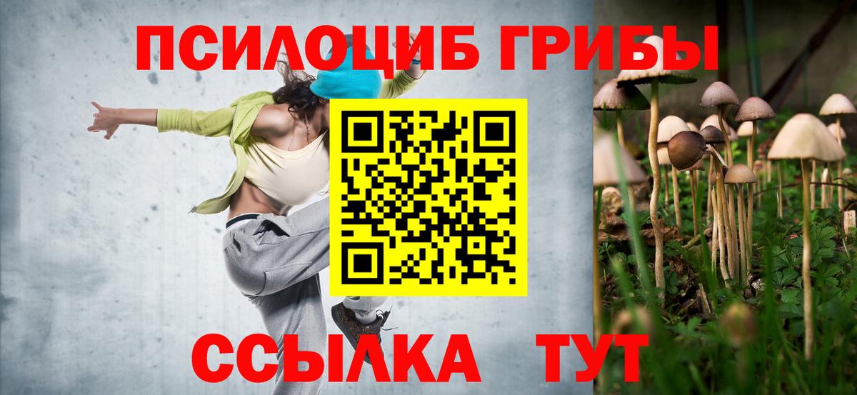 Псилоцибиновые грибы Тулун