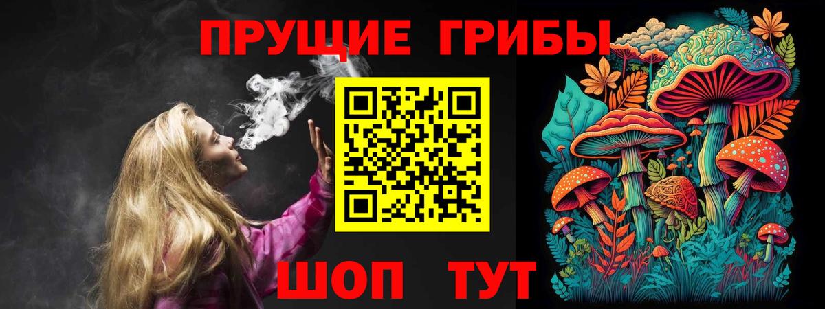 Псилоцибиновые грибы Psilocybe Тулун