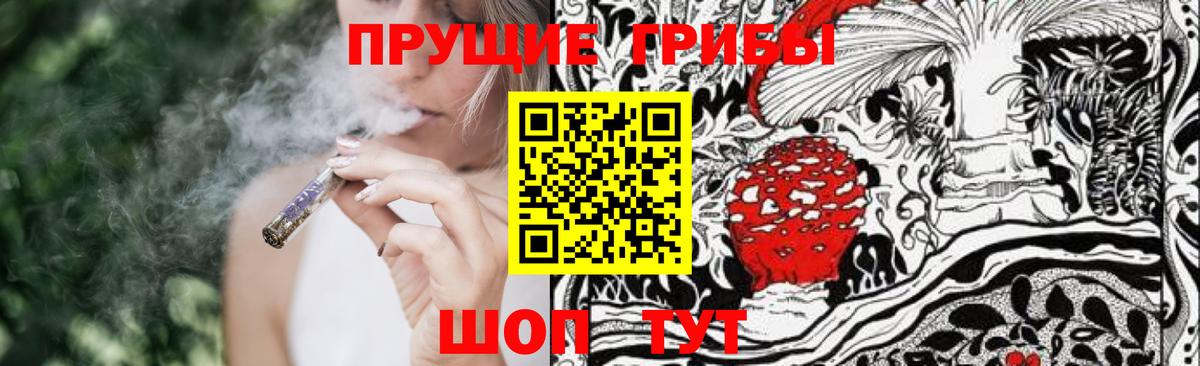 Галлюциногенные грибы Magic Shrooms  Тулун  Галлюциногенные грибы Psilocybine cubensis 