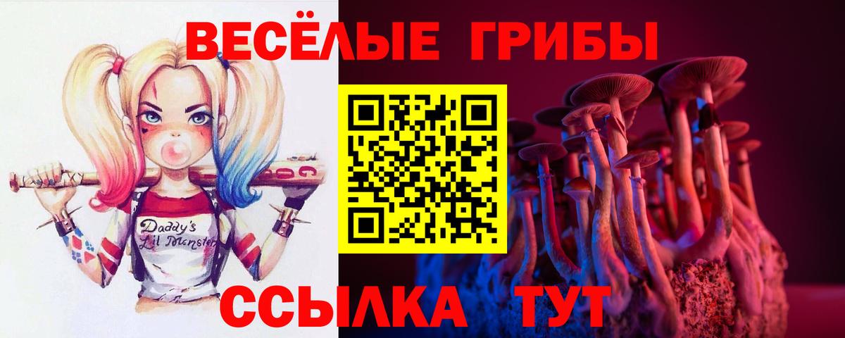 Галлюциногенные грибы Cubensis  Галлюциногенные грибы MAGIC MUSHROOMS  где купить   Вход с VPN  Тулун 