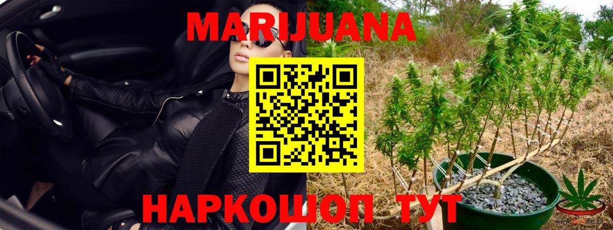 Бошки Шишки MAZAR  Вход с VPN  Тулун  Бошки марихуана MAZAR  МАРИХУАНА ГИДРОПОН  Каннабис Ganja 